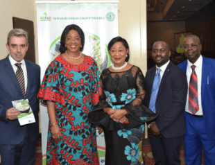 NEPAD Rice Fortification Summit with DSM International and FFI in Abuja